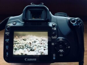 Exploring Camera Modes: Five Free Guides to Understanding Your Camera